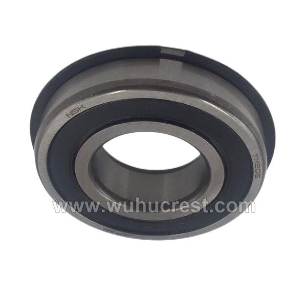 Input Shaft Rear Bearing (QR519-1701403-1N)